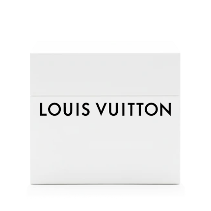 Louis Vuitton BOX