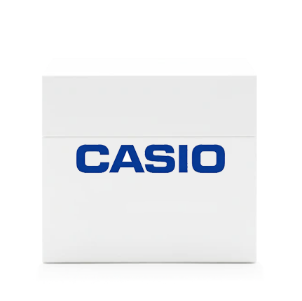 Casio BOX